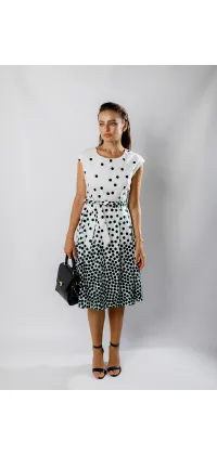 Французька сукня в горох, зображення