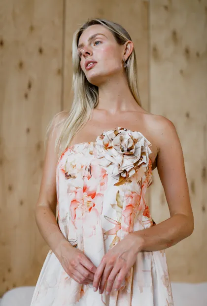 Французька корсетна сукня