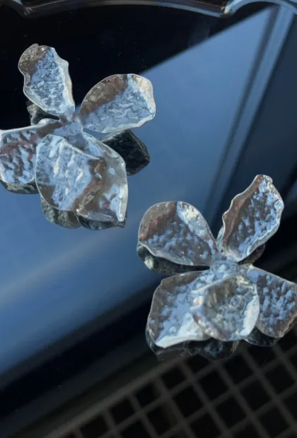 Асиметричні сережки